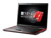 MSI Gaming Series GX720-022NL - Core 2 Duo P8400 / 2.26 GHz - RAM 4 GB - HDD 320 GB - DVDRW / DVD-RAM - GF 9600M GT - Gigabit Ethernet - WLAN : Bluetooth 2.0 EDR, 802.11 a/b/g/n (draft) - Vista Home Premium - 17