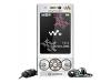 Sony Ericsson W715 Walkman - Cellular phone with two digital cameras / digital player / FM radio - WCDMA (UMTS) / GSM - luxury silver