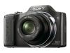 Sony Cyber-shot DSC-H20 - Digital camera - compact - 10.1 Mpix - optical zoom: 10 x - supported memory: MS Duo, MS PRO Duo