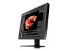 EIZO RadiForce RS110 - LCD display - 1MP - colour - TFT - 19