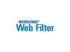 Websense Web Filter Check Point FireWall-1 Edition - ( v. 5.x ) - subscription licence ( 3 years ) - 100 users - Win