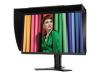 NEC SpectraView 2490 - LCD display - TFT - 24.1