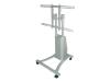 NewStar PLASMA-M1200AUTO - Stand for LCD / plasma panel - silver - screen size: 27