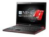 MSI GX623 009NL - Core 2 Duo P7350 / 2 GHz - RAM 4 GB - HDD 320 GB - DVDRW / DVD-RAM - Mobility Radeon HD 4670 HyperMemory up to 1280MB - Gigabit Ethernet - WLAN : Bluetooth 2.0 EDR, 802.11 a/b/g/n (draft) - Vista Home Premium - 15.4