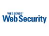 Websense Web Security Juniper Networks NetScreen Edition - Subscription licence ( 1 year ) - 250 users - Win