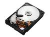 Hitachi Deskstar 7K2000 - Hard drive - 2 TB - internal - 3.5