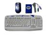 Dexxa Wireless Desktop - Keyboard - wireless - 103 keys - mouse - PS/2 wireless receiver - grey, blue - retail