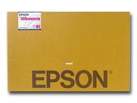 Epson
C13S041236
Posterboard S/gloss 728x1033mm 5pk
