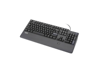 Lenovo
73P4733
Keyboard/US Preferred Pro USB