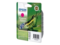 Epson
C13T03334010
Ink Cart/Magenta f Stylus Photo950