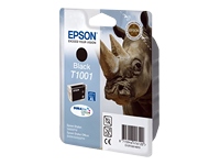 Epson
C13T10014010
T1001 Black Ink Cartridge