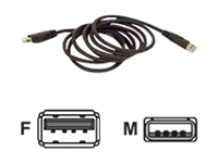Belkin
F3U134R3M
Cable/USB A-A Extension 3m
