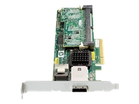 HP
462828-B21
HP Smart Array P212/Zero Mem Controller
