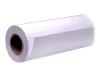 Epson - Glossy photo paper - Roll (91.4 cm x 20.7 m)