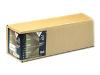 DuPont/EPSON Commercial - Matte proofing paper - Roll (91.4 cm x 15 m) - 205 g/m2