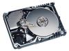 Maxtor Atlas 10K IV - Hard drive - 146.9 GB - hot-swap - 3.5