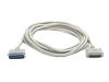 StarTech.com - Printer cable - DB-25 (M) - 36 PIN Centronics (M) - 6 m ( IEEE-1284 ) - molded