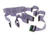 Belkin Internal SCSI III LVD Seven Drive Paired Ribbon Cable - SCSI internal cable - LVD - HD-68 (M) - HD-68 (M) - 1.879 m - blue