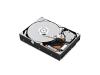 Lenovo ThinkCentre - Hard drive - 160 GB - internal - 3.5