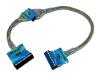 Belkin Internal IDE Dual Hard Drive Ribbon Cable - IDE / EIDE cable - UDMA 66/100/133 - 40 PIN IDC (F) - 40 PIN IDC (F) - 45.7 cm - rounded - silver