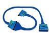 Belkin Internal IDE Dual Hard Drive Ribbon Cable - IDE / EIDE cable - UDMA 66/100/133 - 40 PIN IDC (F) - 40 PIN IDC (F) - 61 cm - rounded - blue