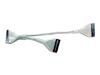 Belkin Internal IDE Dual Hard Drive Ribbon Cable - IDE / EIDE cable - UDMA 66/100/133 - 40 PIN IDC (F) - 40 PIN IDC (F) - 45.7 cm - rounded - glow in the dark