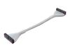 Belkin Round Floppy Single-Drive Cable - Floppy cable - 34 PIN IDC (F) - 34 PIN IDC (F) - 25.4 cm - rounded - glow in the dark