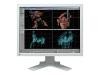 EIZO FlexScan L 885 - LCD display - TFT - 20.1