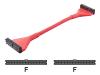 Belkin - Floppy cable - 34 PIN IDC (F) - 34 PIN IDC (F) - 30 cm - rounded - red