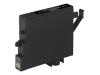 Armor - Print cartridge ( replaces Epson T0481 ) - 1 x black