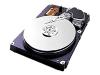 Samsung SpinPoint P120 SP1212N - Hard drive - 120 GB - internal - 3.5