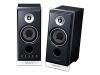 Sony SRS ZP1000 - PC multimedia speakers - 50 Watt - 2-way