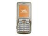 Sony Ericsson W700i Walkman - Cellular phone with digital camera / digital player / FM radio - GSM - titanium, gold