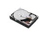 Lenovo ThinkCentre - Hard drive - 250 GB - internal - 3.5
