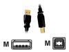 Sweex - USB cable - 4 PIN USB Type A (M) - 4 PIN USB Type B (M) - 1.8 m ( USB / Hi-Speed USB )