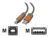 Belkin PRO Series Hi-Speed USB 2.0 Device Cable - USB cable - 4 PIN USB Type A (M) - 4 PIN USB Type B (M) - 1.8 m ( USB / Hi-Speed USB ) - molded (pack of 2 )