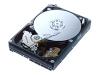 Samsung SpinPoint T166 HD160HJ - Hard drive - 160 GB - internal - 3.5