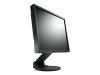 EIZO FlexScan - LCD display - TFT - 19