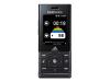 Samsung / Adidas SGH-F110 miCoach - Cellular phone with digital camera / digital player / FM radio - GSM - dark grey
