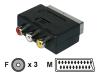 Philips SWV2082W - Video / audio adaptor - SCART (M) - RCA (F)