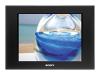 Sony DPF-D100 - Digital photo frame - flash 256 MB - 10