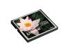 Kingston
CF/8GB
CompactFlash/8GB Card